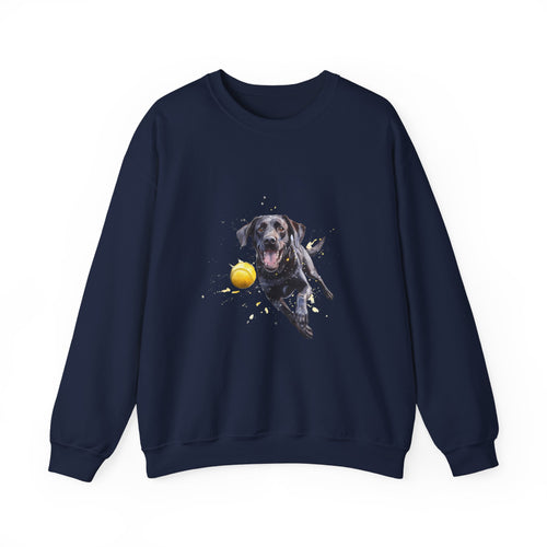 1 Sweatshirt - Black Labrador Retriever Fetch Dog Sweatshirt