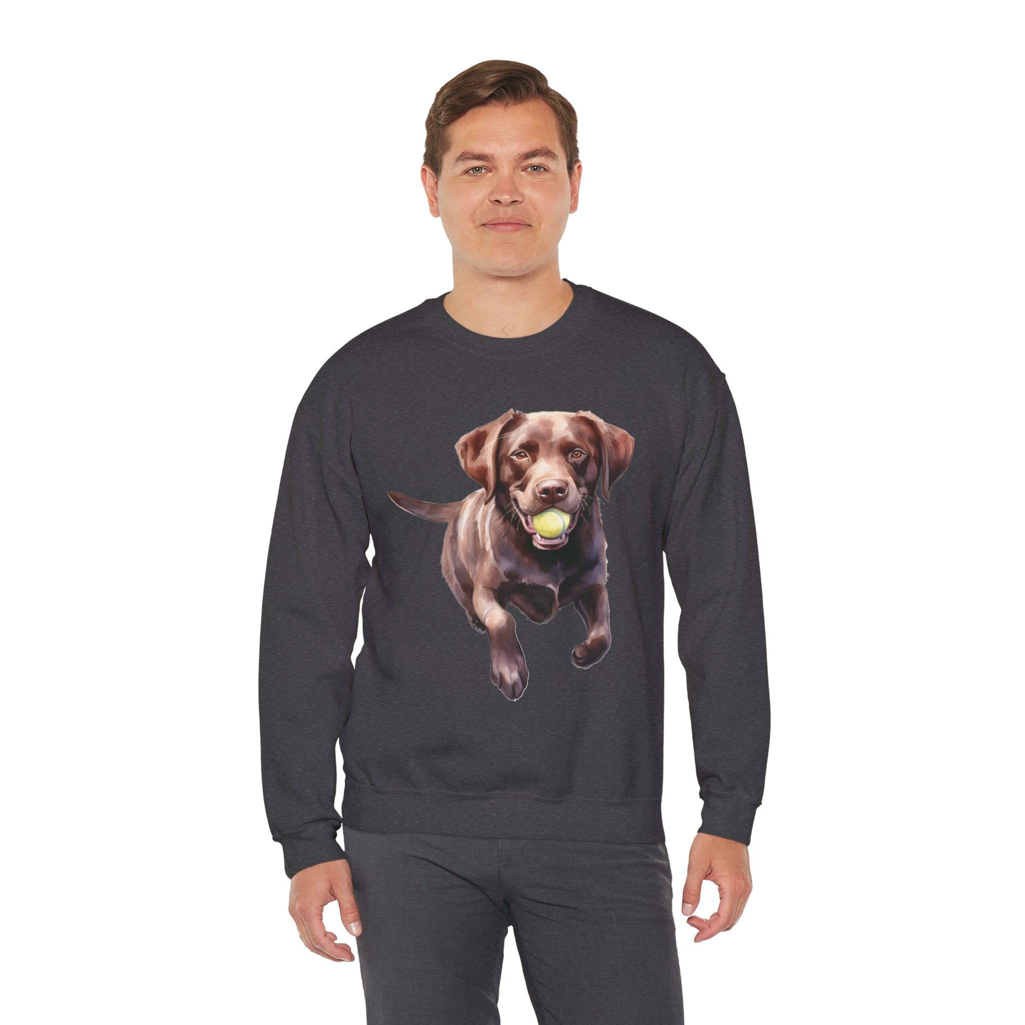 18 Sweatshirt - Chocolate Labrador Retriever Fetch Dog Sweatshirt