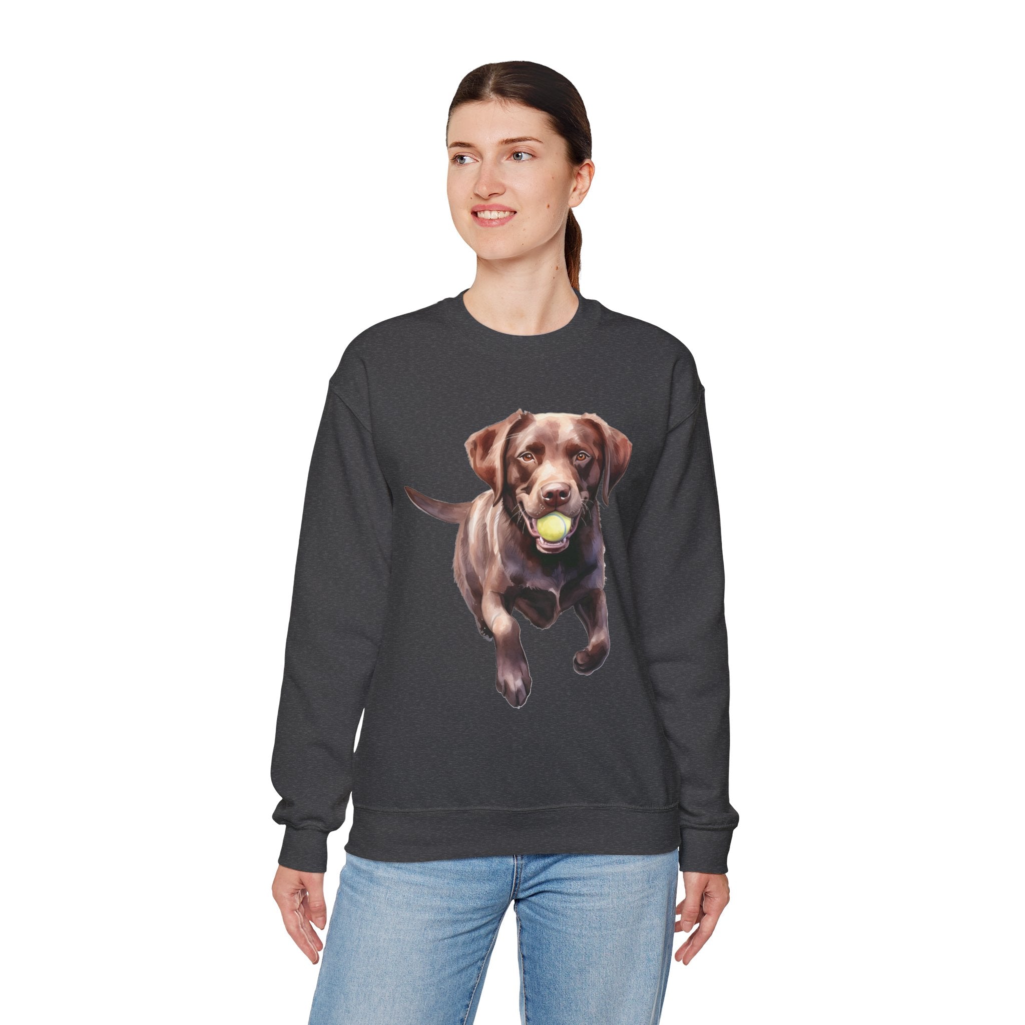 18 Sweatshirt - Chocolate Labrador Retriever Fetch Dog Sweatshirt